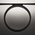 Cini&Nils Assolo - LED ceiling light black