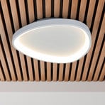 Argesa LED ceiling light, Ø 60.5 cm, white, CCT, remote control