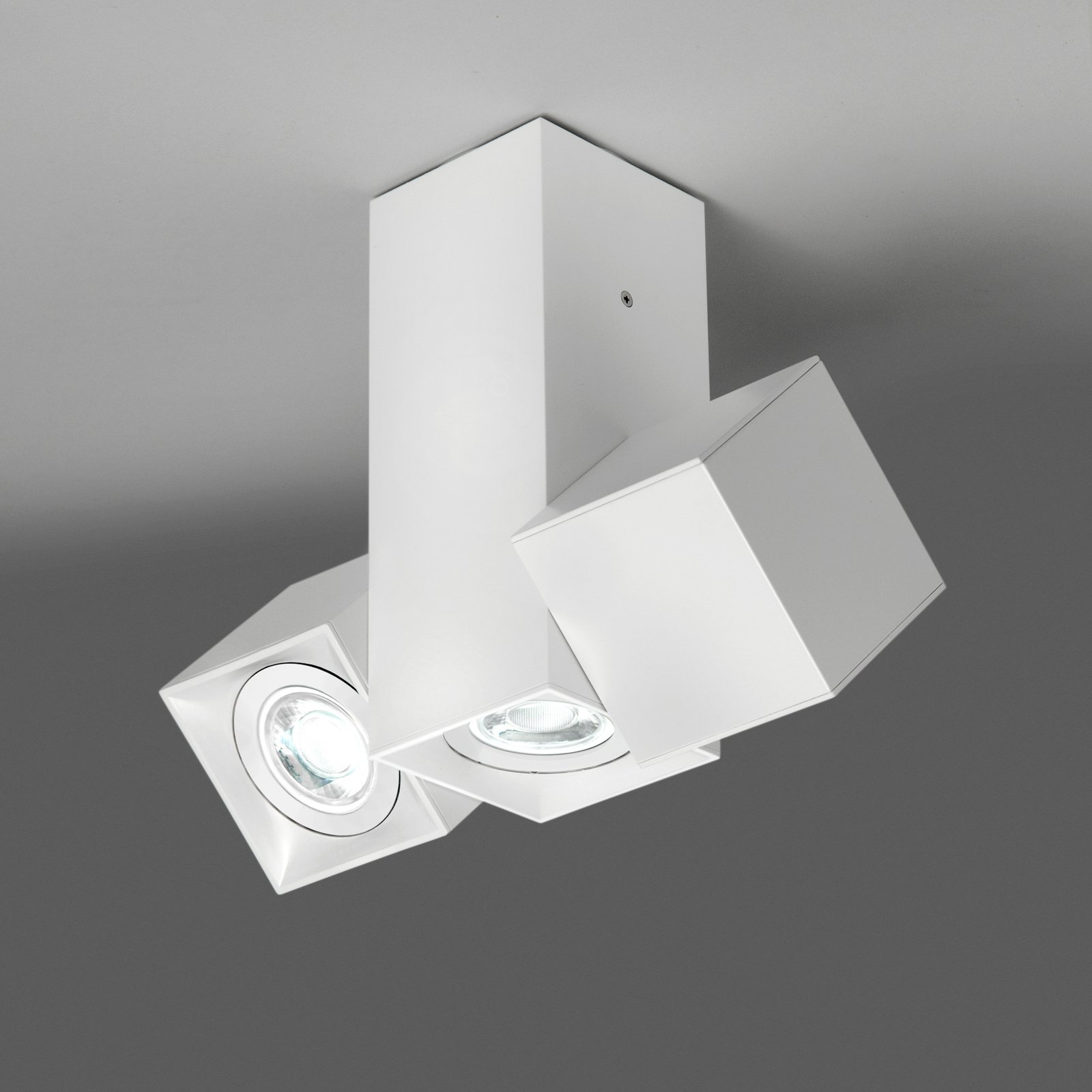 Milan Dau spot plafondlamp 3-lamps wit