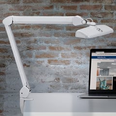 Lampa do zadań MAULintro LED, biała, 52 cm, podstawa zaciskowa