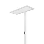 Regent Lighting Lightpad capteur centre pied blanc