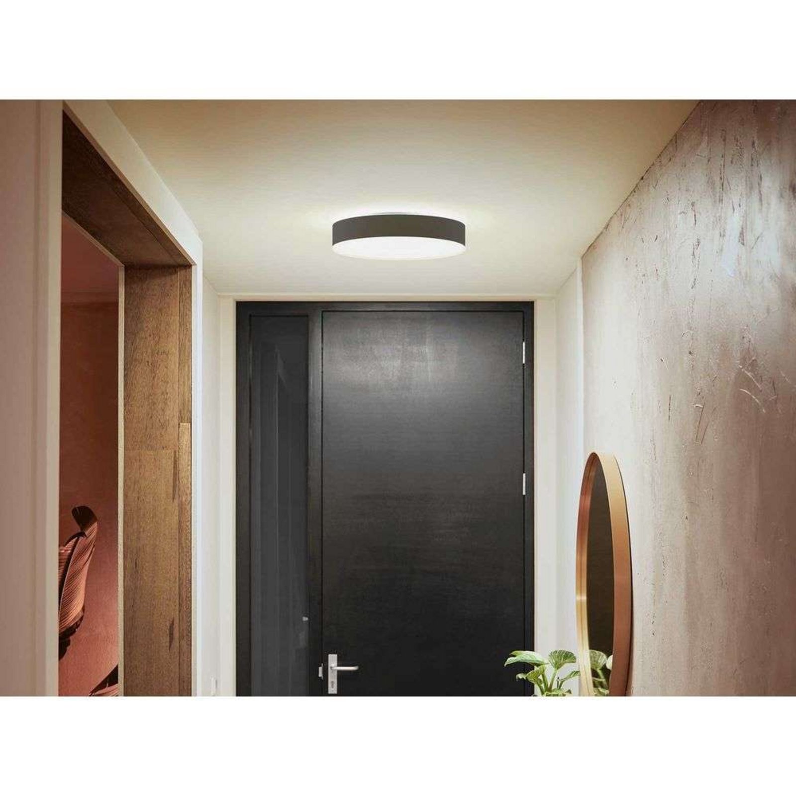 Hue Enrave M Lámpara de Techo White Amb. Black - Philips Hue