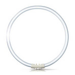 2GX13 Ring-Leuchtstofflampe Master TL5 Circular