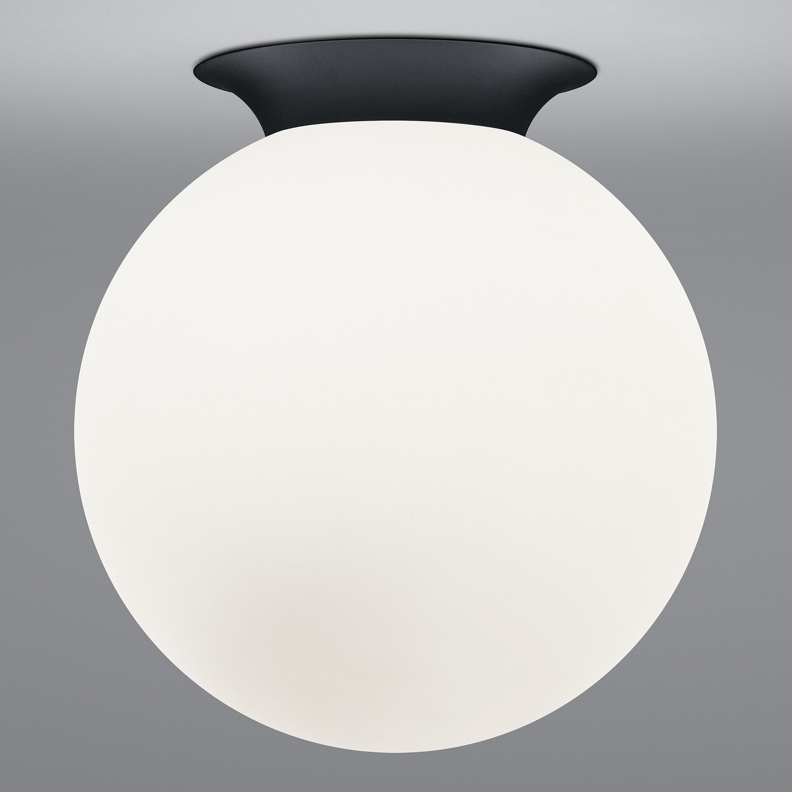 HELL Plafonieră Blob abajur globular din sticlă opală Ø 30 cm - Camera de zi / sufragerie - modern - opal negru