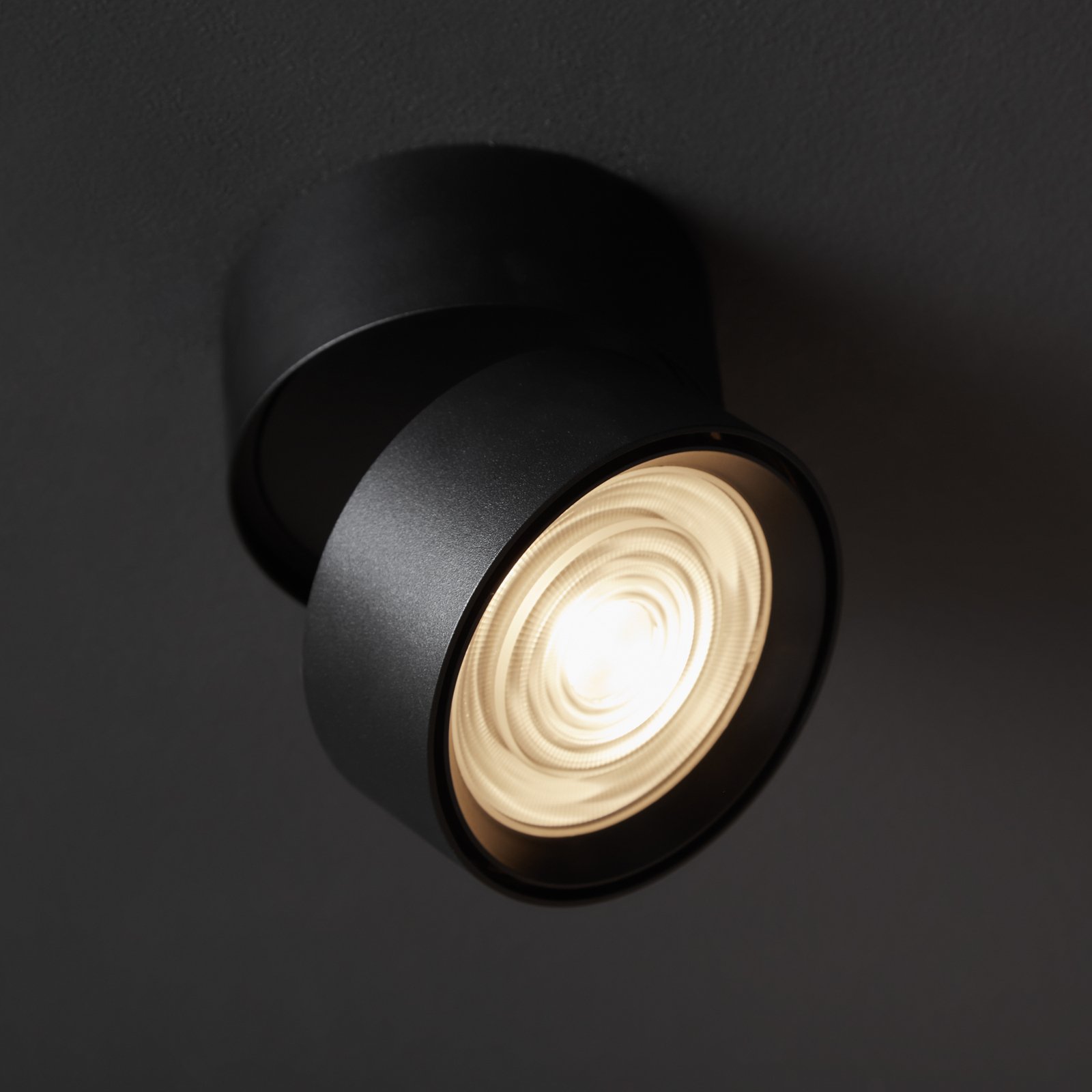 Ray Spot Black - Loom Design