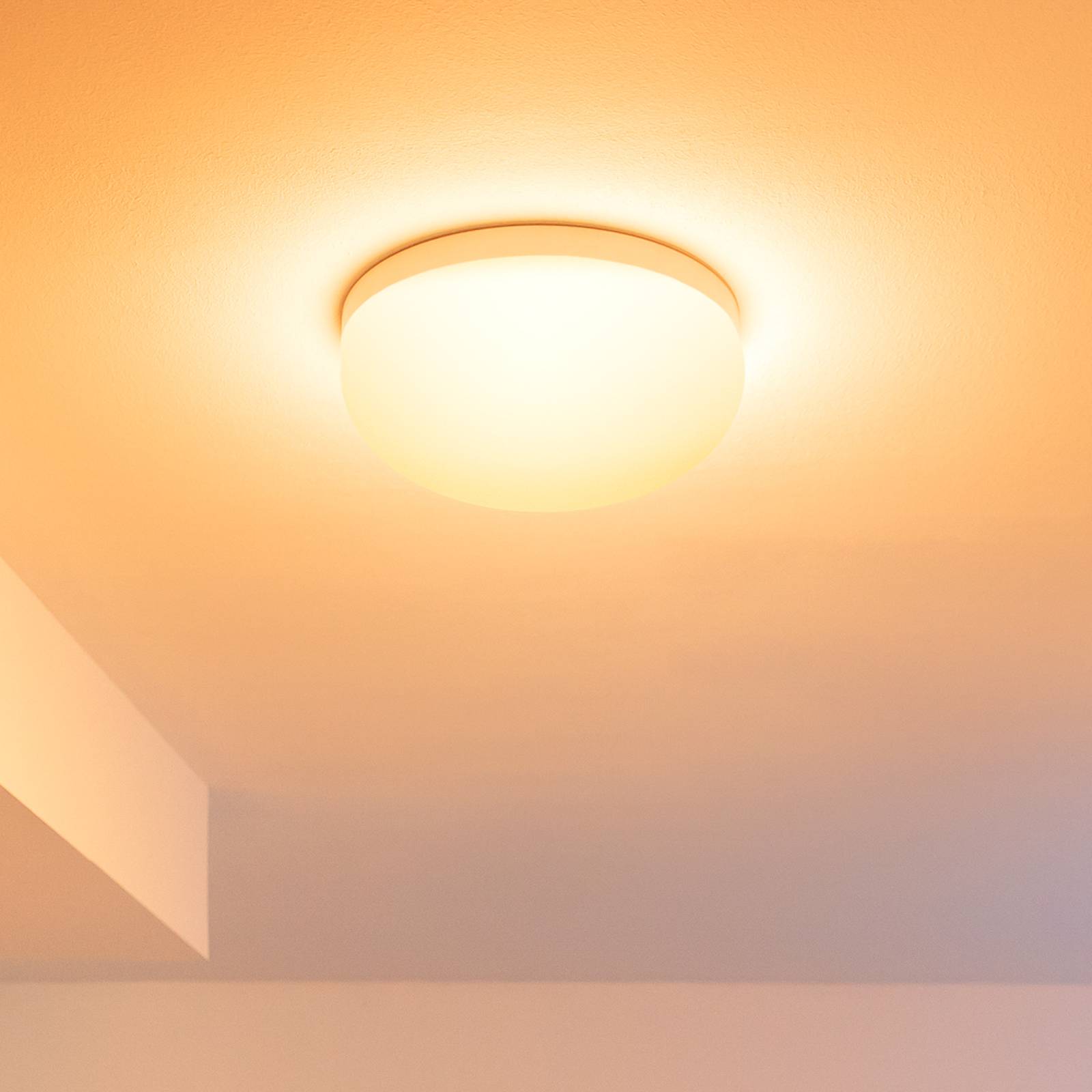 verlangen tank Nadeel Philips Hue Flourish LED plafondlamp, RGBW gevonden bij Mijn Huis & Tuin -  Mijn Huis & Tuin