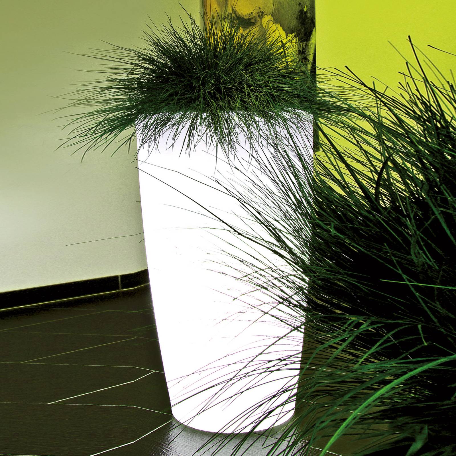 Image of Lampe Rovio IV pour plantes, blanc transparent 