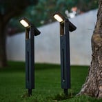 LED-Solar-Sockellampe Brity schwarz Erdspieß 2er Höhe 49 cm
