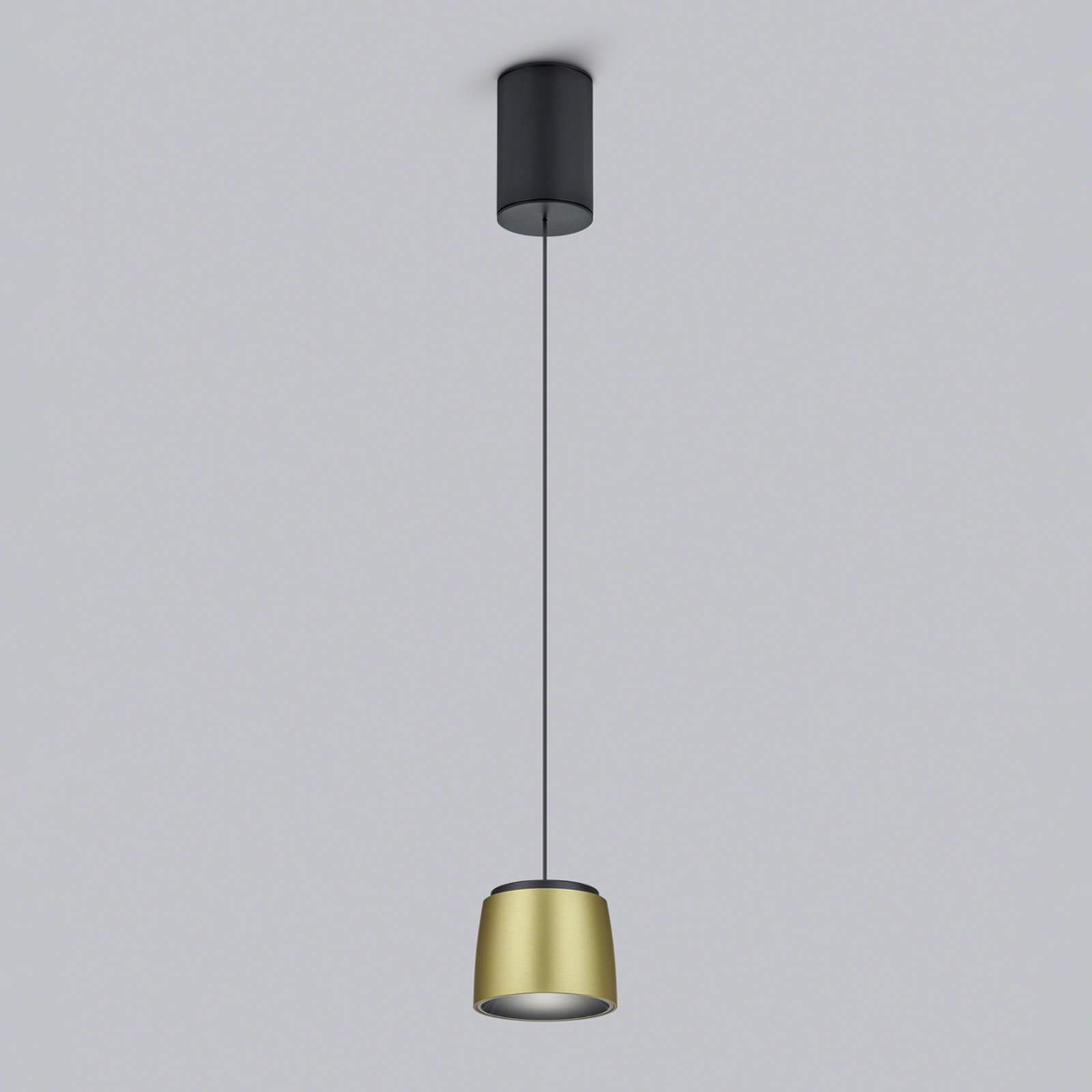 Helestra Ove LED pendant light Ø9.5cm gold black