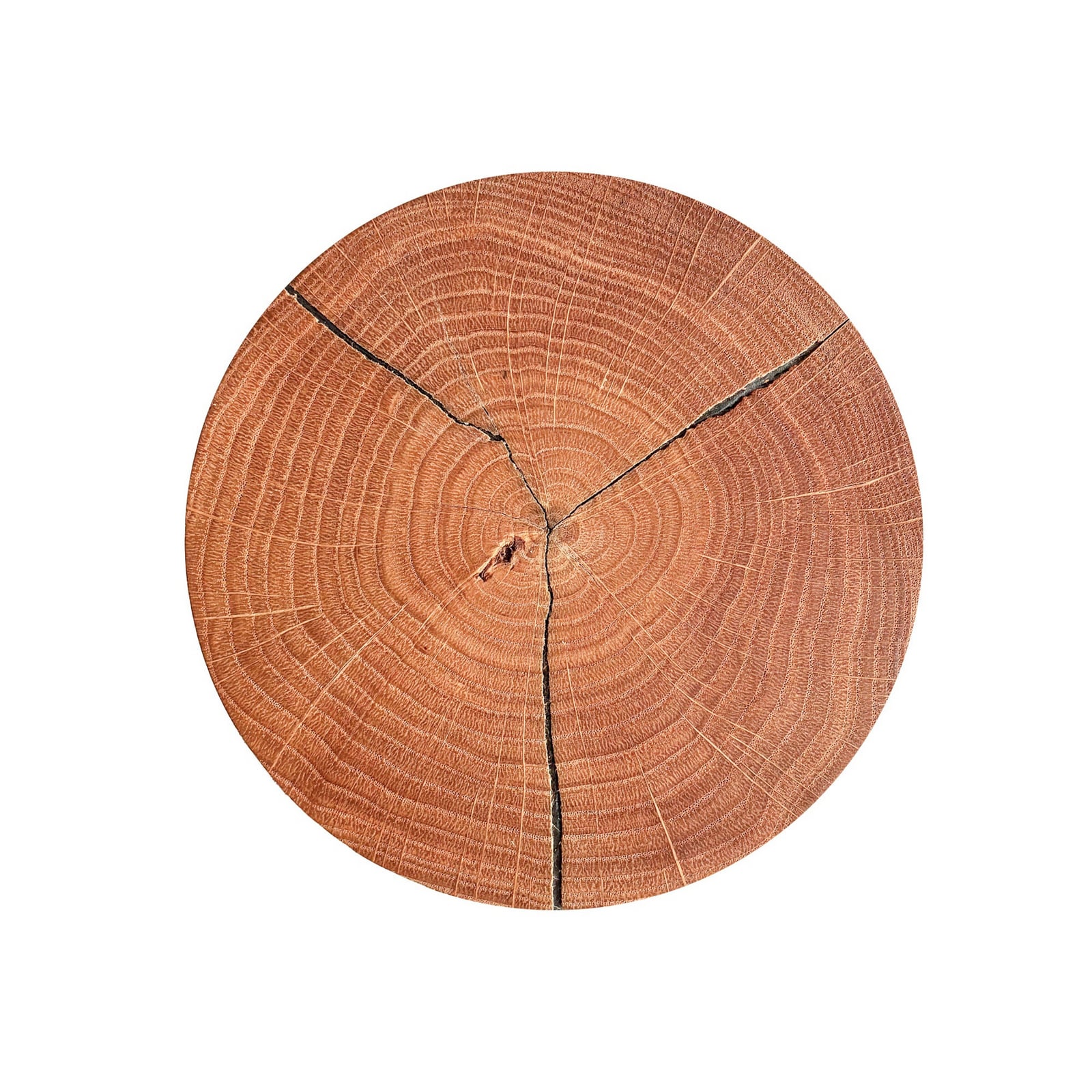 Havana S LED wall light, burl wood/metal, Ø 19 cm Havana S LED wall light, burl wood/metal, Ø 19 cm