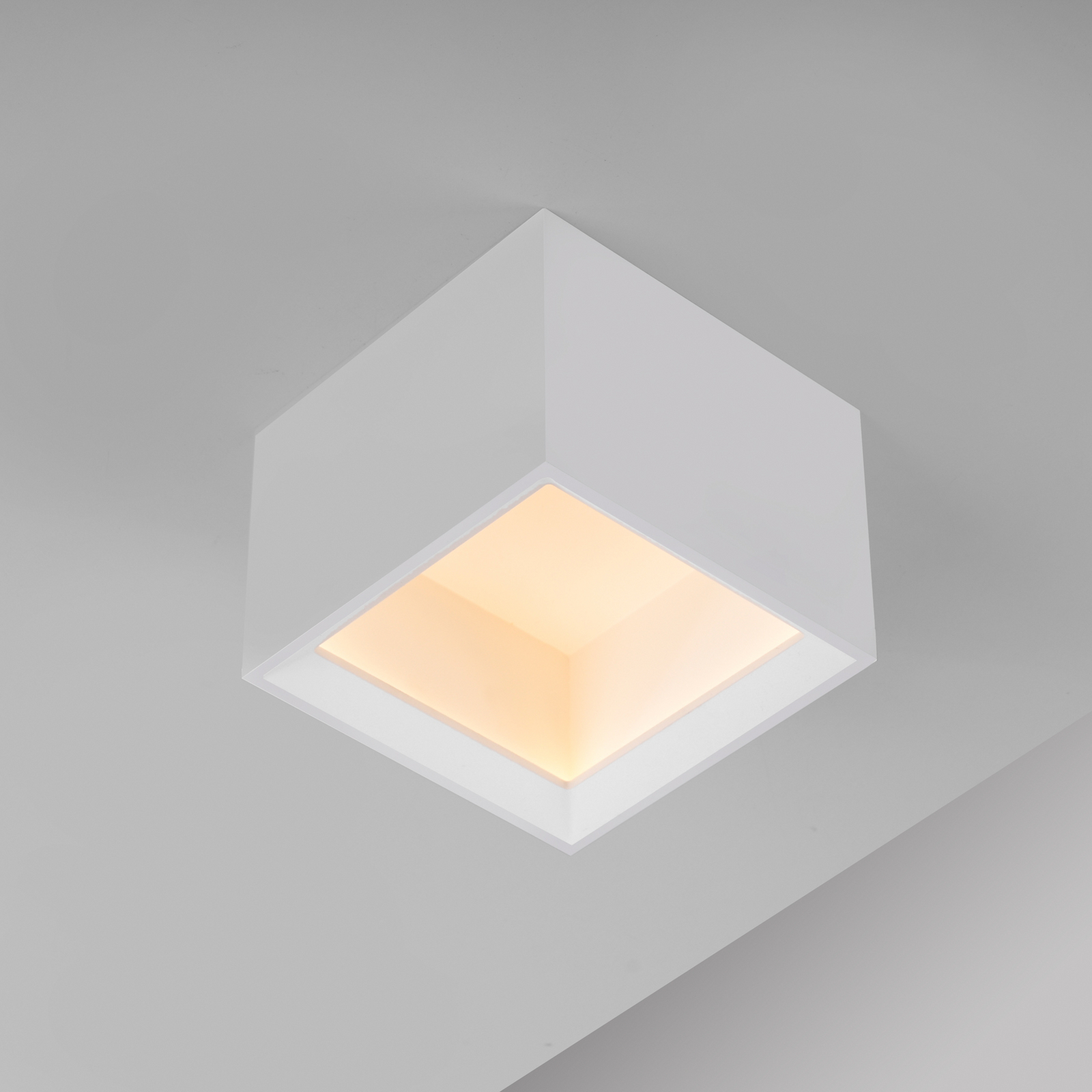 LED-stropna svetilka PURE Manhatten, bela, 1-žarilna, CCT