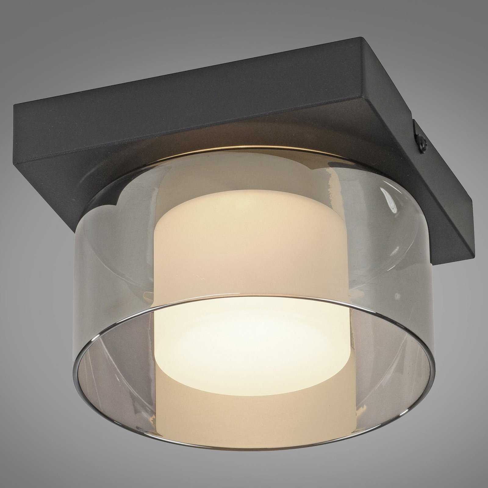 Paul Neuhaus plafondlamp Rika, zwart, lengte 15 cm