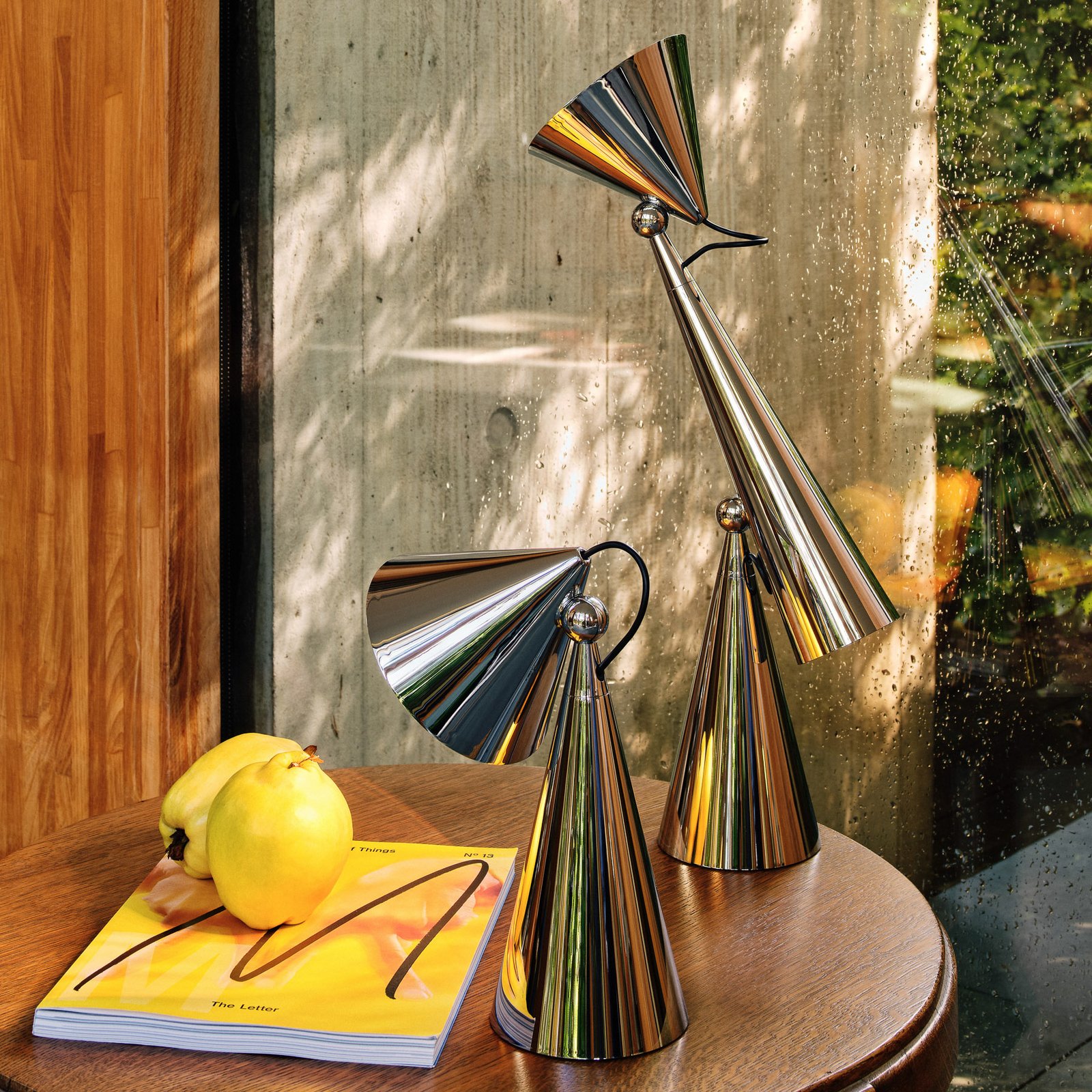 Tom Dixon LED-Tischlampe Pose Task Light, silberfarben