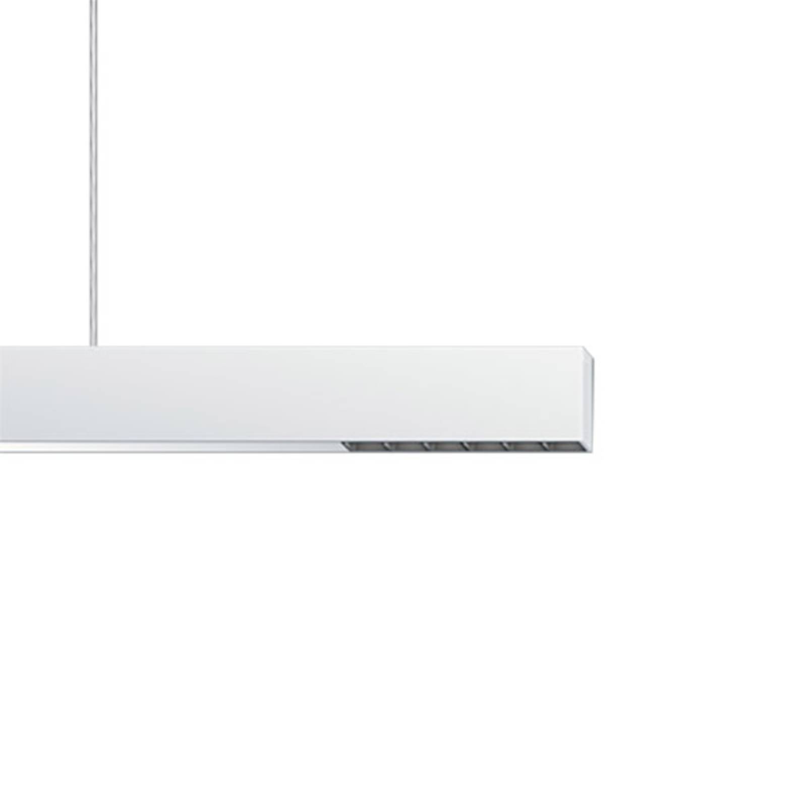 Image of ERCO Compar P DALI oval wide blanc/noir 940 