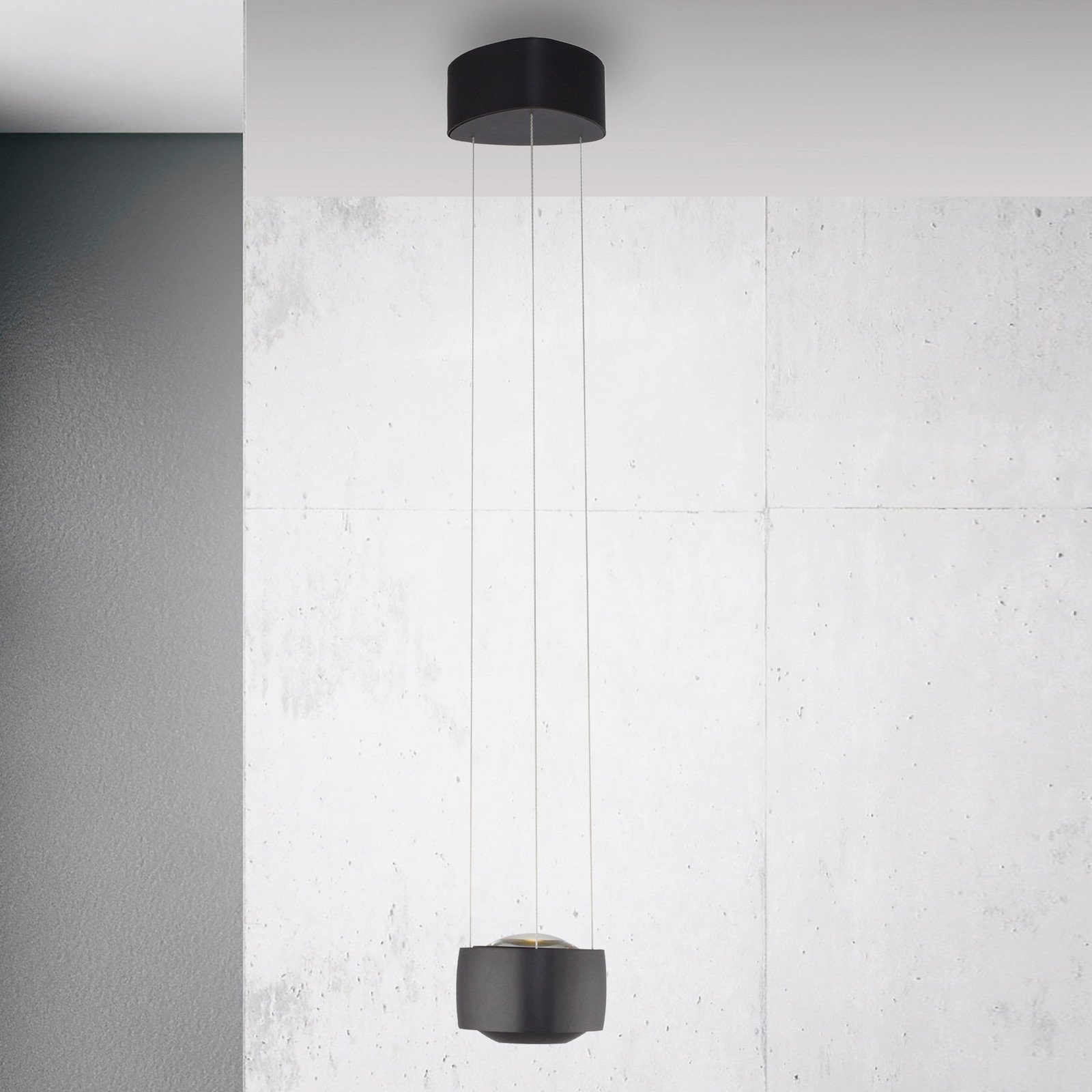 Paul Neuhaus lampă suspendată LED Q-Stretto negru Ø 145 cm - Camera de zi / sufragerie - Modern - Metal
