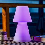 Newgarden Lola 30 -LED-pöytälamppu, akkukäyttöinen