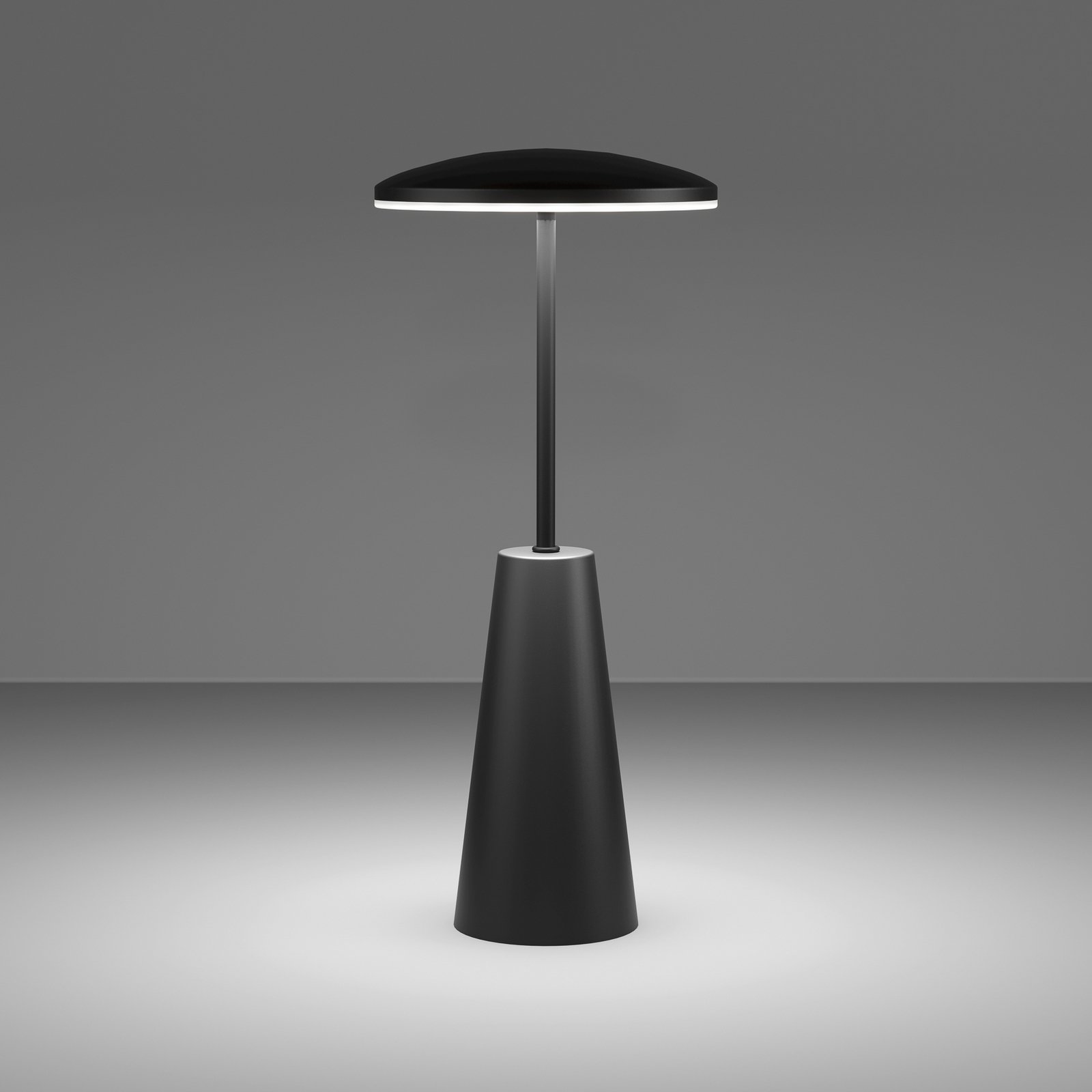 Piccola LED rechargeable light, black, height 28 cm, metal, IP54